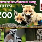 Hluchá Bašta S Vnitřním Bazénem Appartamento *