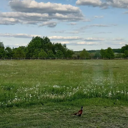 Appartamento Hluchá Bašta S Vnitřním Bazénem Ceske Budejovice