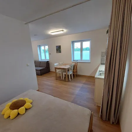 Apartment Hlucha Basta S Vnitrnim Bazenem Ceske Budejovice