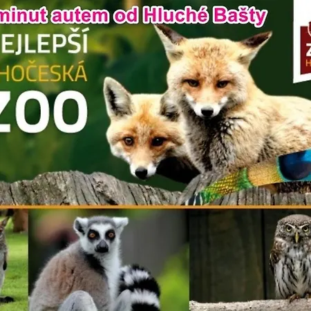 Hluchá Bašta S Vnitřním Bazénem Appartamento *