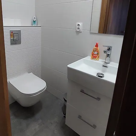 Apartment Hlucha Basta S Vnitrnim Bazenem Ceske Budejovice