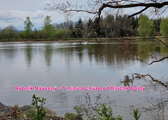 Hlucha Basta S Vnitrnim Bazenem شقة تشيسكي بوديوفيتسه