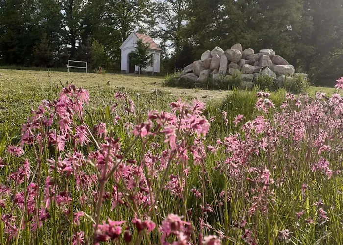 Hlucha Basta S Vnitrnim Bazenem شقة تشيسكي بوديوفيتسه