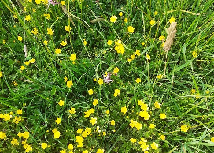 Hlucha Basta S Vnitrnim Bazenem 아파트 *