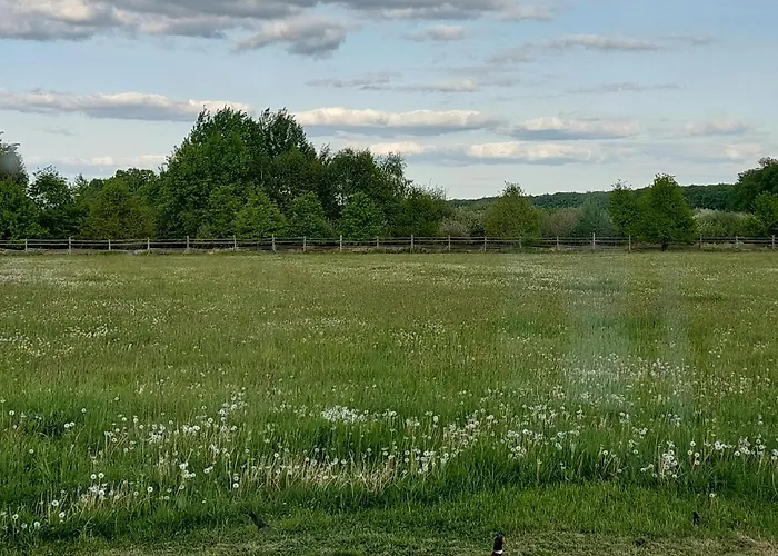 아파트 Hlucha Basta S Vnitrnim Bazenem 체스케부데요비체