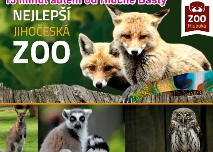 Hlucha Basta S Vnitrnim Bazenem 아파트 *