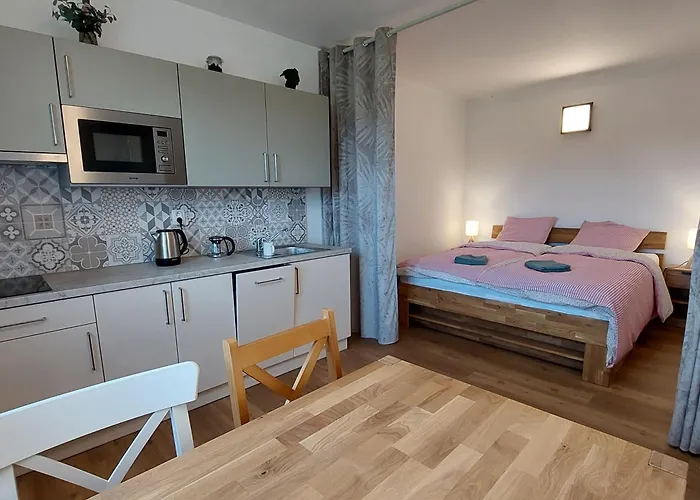 Hlucha Basta S Vnitrnim Bazenem تشيسكي بوديوفيتسه